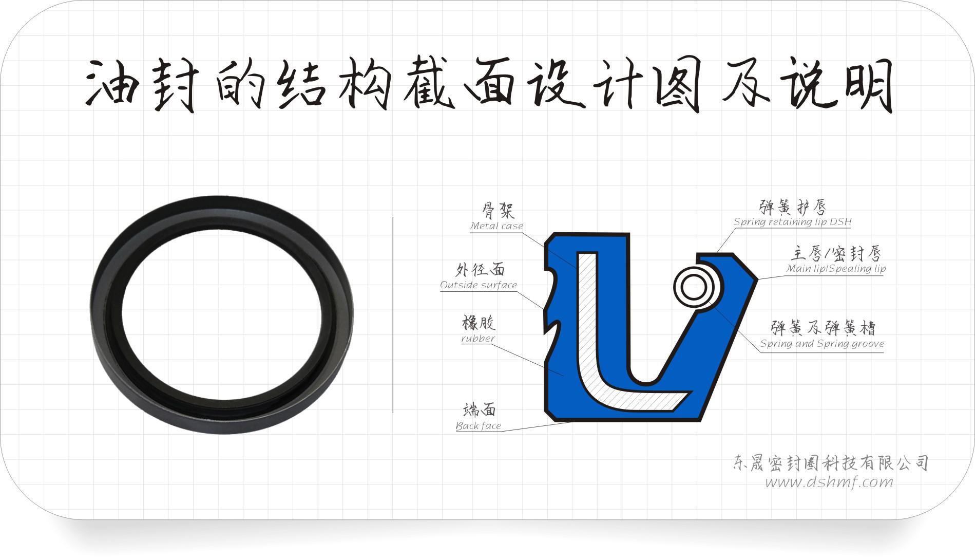 骨架油封的結(jié)構各位術語介紹圖