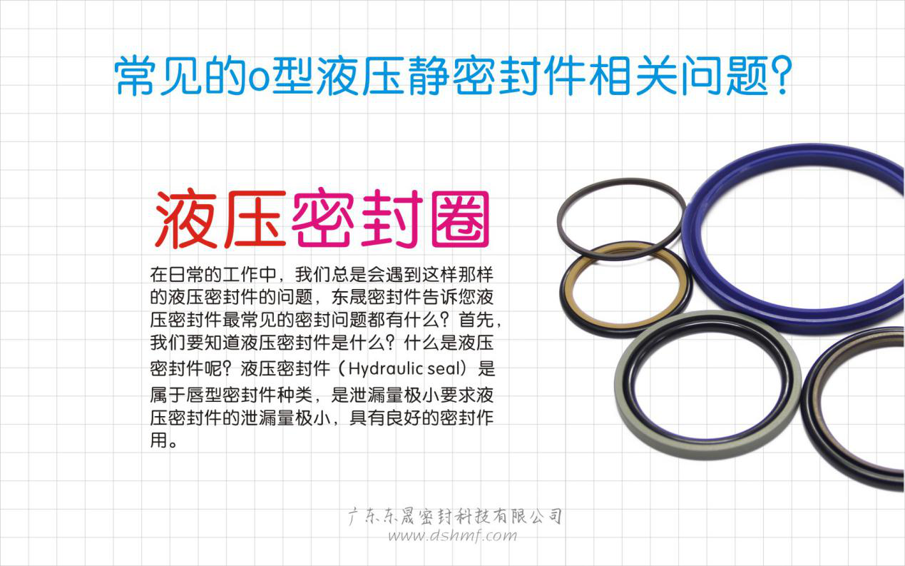 （五）常見(jiàn)的o型液壓靜密封件相關(guān)問(wèn)題？