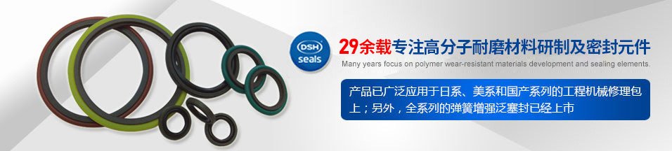 氫燃料電池汽車(chē)高壓密封技術(shù)國(guó)產(chǎn)化突圍戰(zhàn)？?