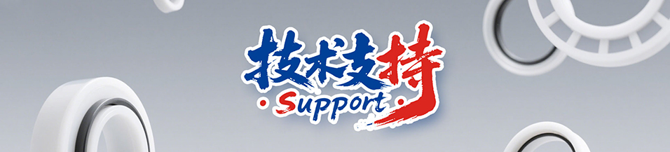 機械密封件中的支承（密封環）方式的變形及設計要求，您知道多少呢？
