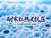 ZC型活塞組合密封圈產(chǎn)品案例 ? 耐寒扛熱又抗壓!