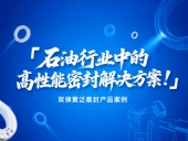 ?雙彈簧泛塞封產(chǎn)品案例 ? 石油行業(yè)中的高性能密封解決方案!?